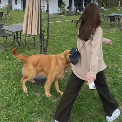 摆脱陷阱：利尔贝比的故事